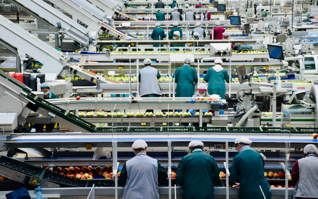 factory-people-working